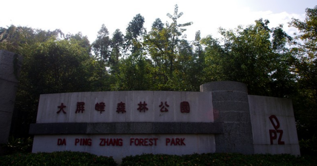 公司组织员工开展秋游活动